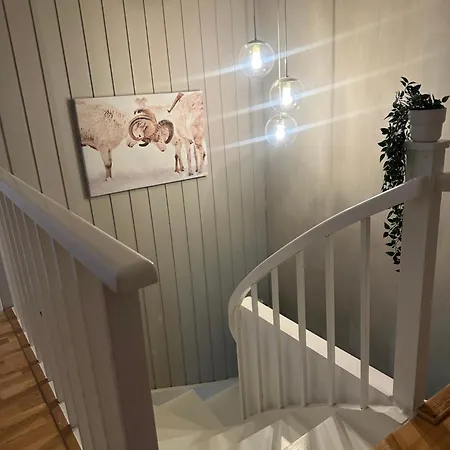 Cozy In Lutvann 2 * Oslo